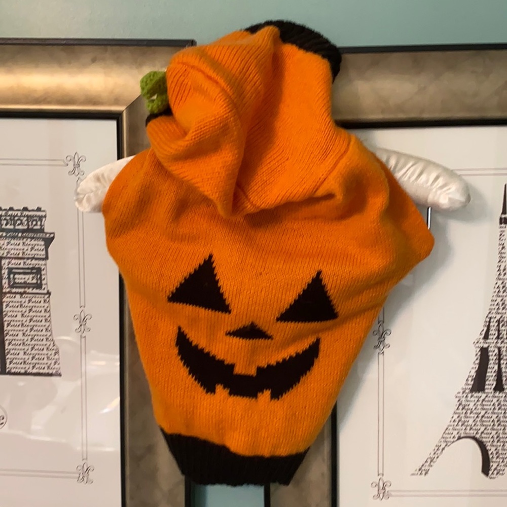 Dog cat Halloween pumpkin costume. Size M